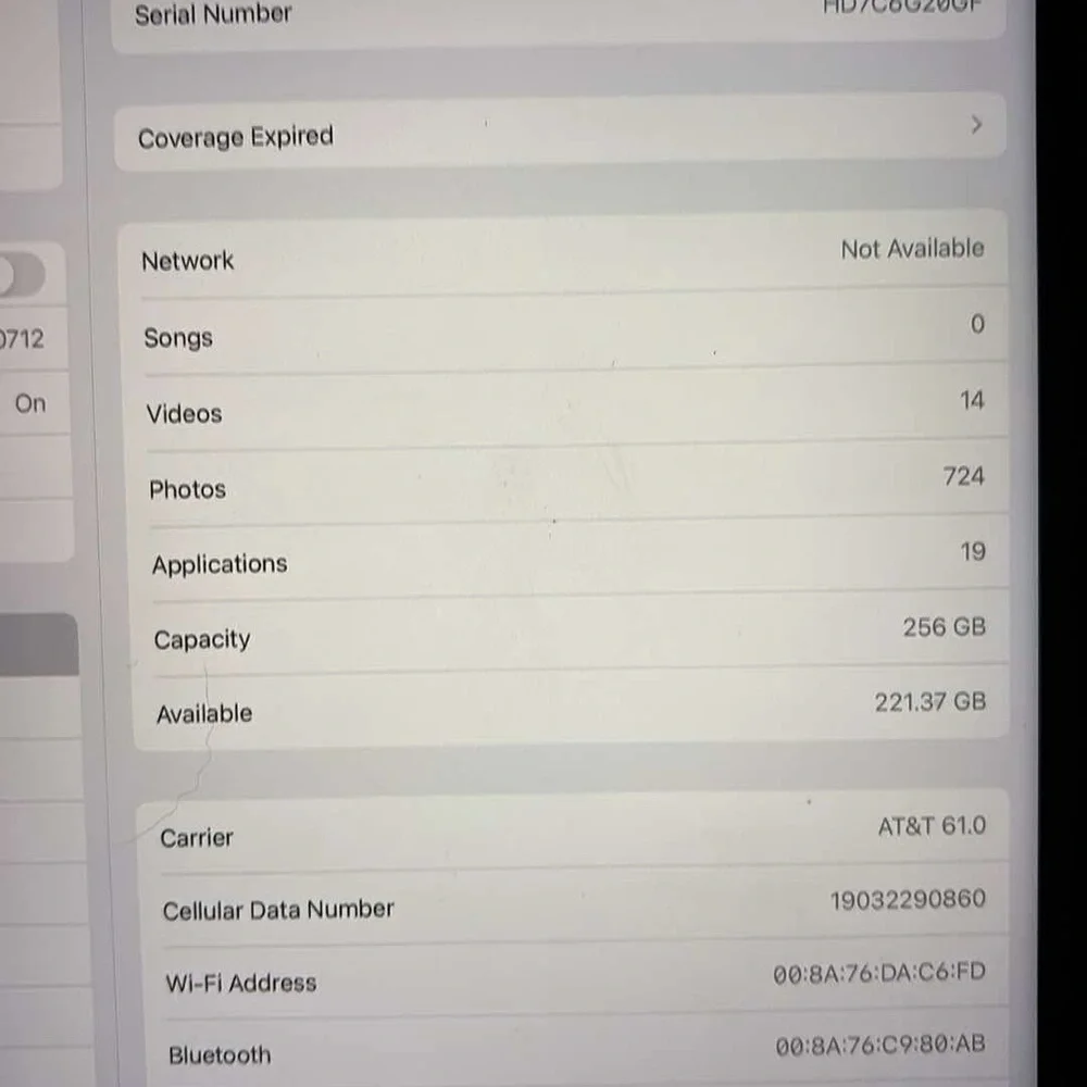 Apple iPad